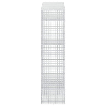 Gabion with 5 mm Wire and 5x5 cm Mesh 250x50x200 cm
