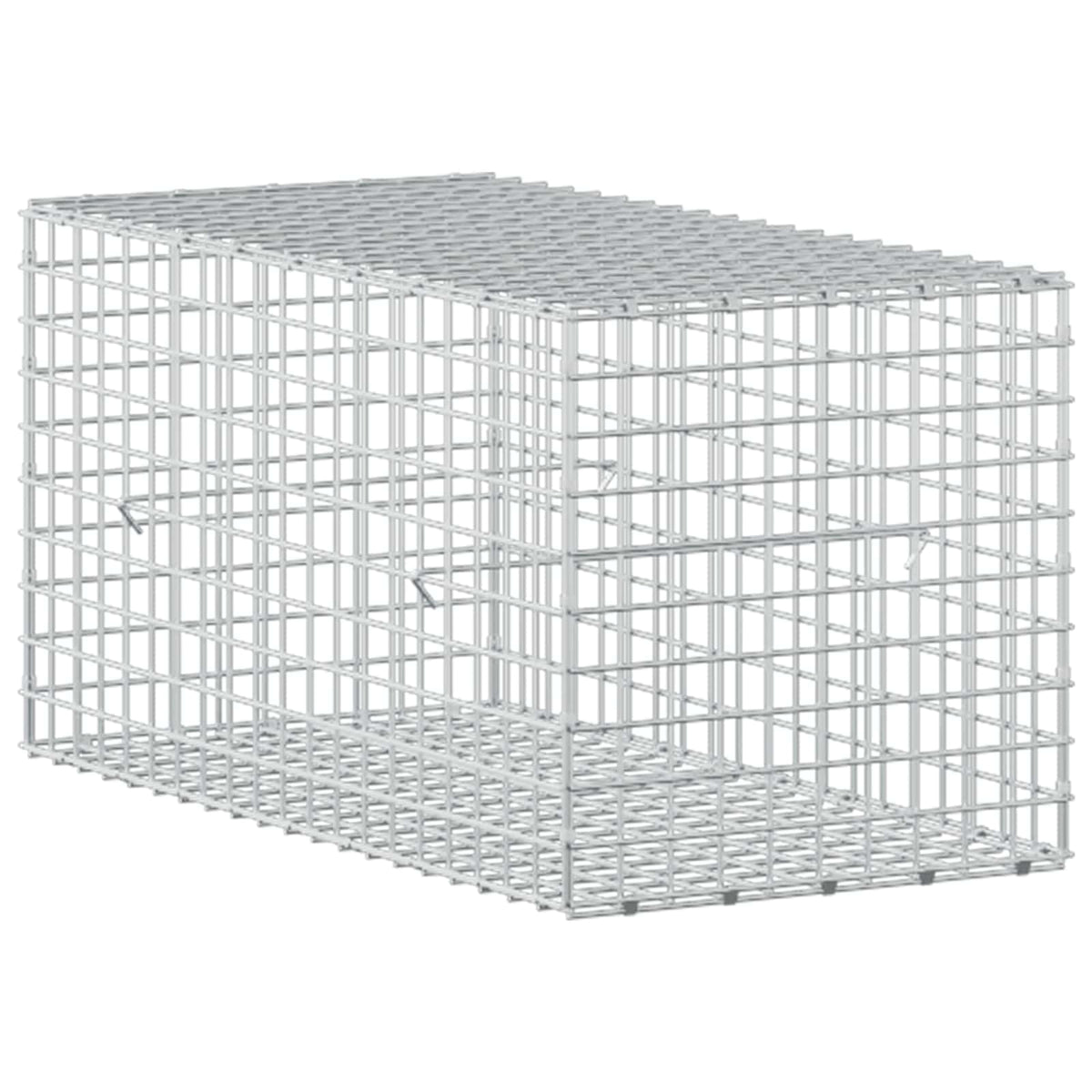 Gabion with 5 mm Wire and 5x5 cm Mesh 50x100x50 cm