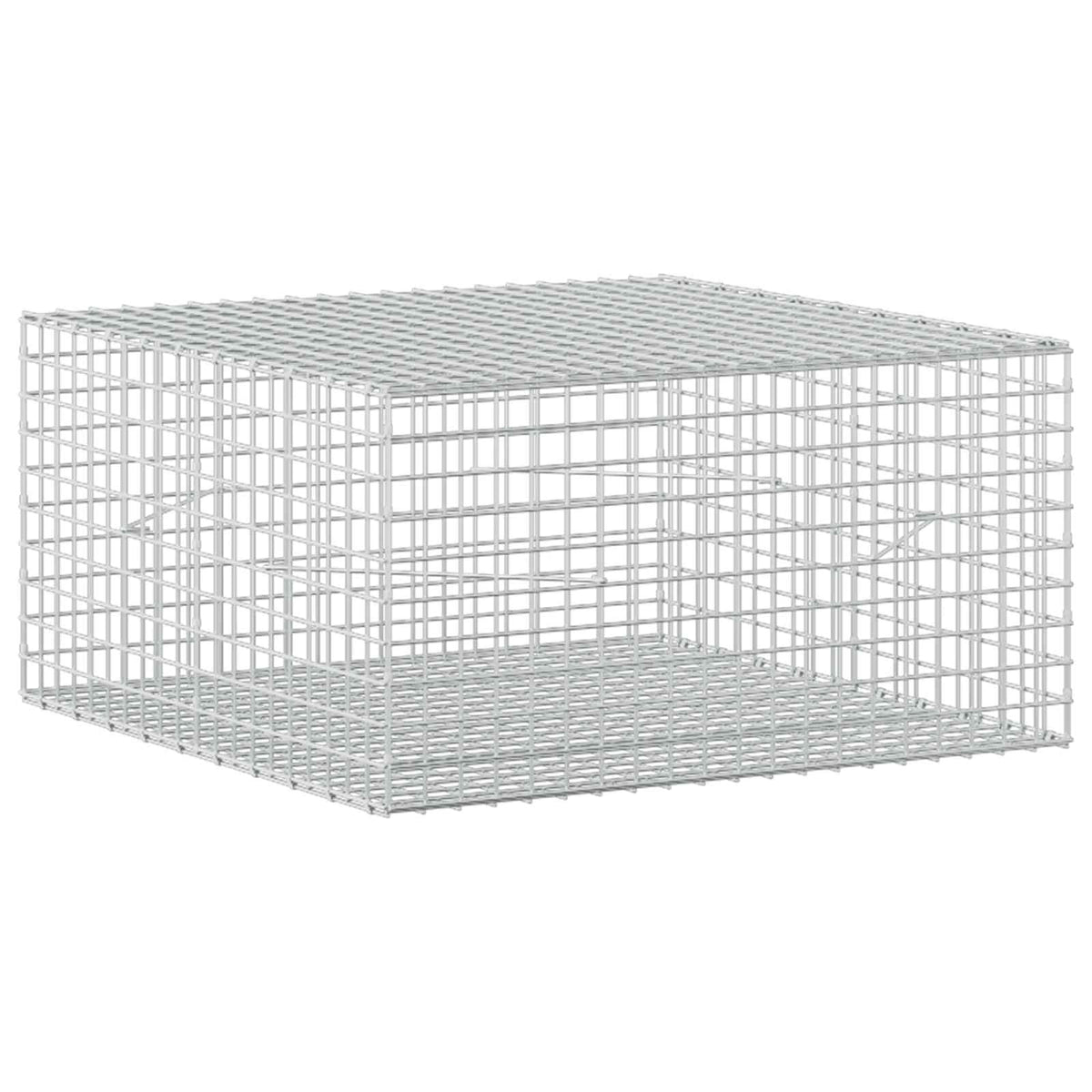 Gabion with 5 mm Wire and 5x5 cm Mesh 100x100x50 cm