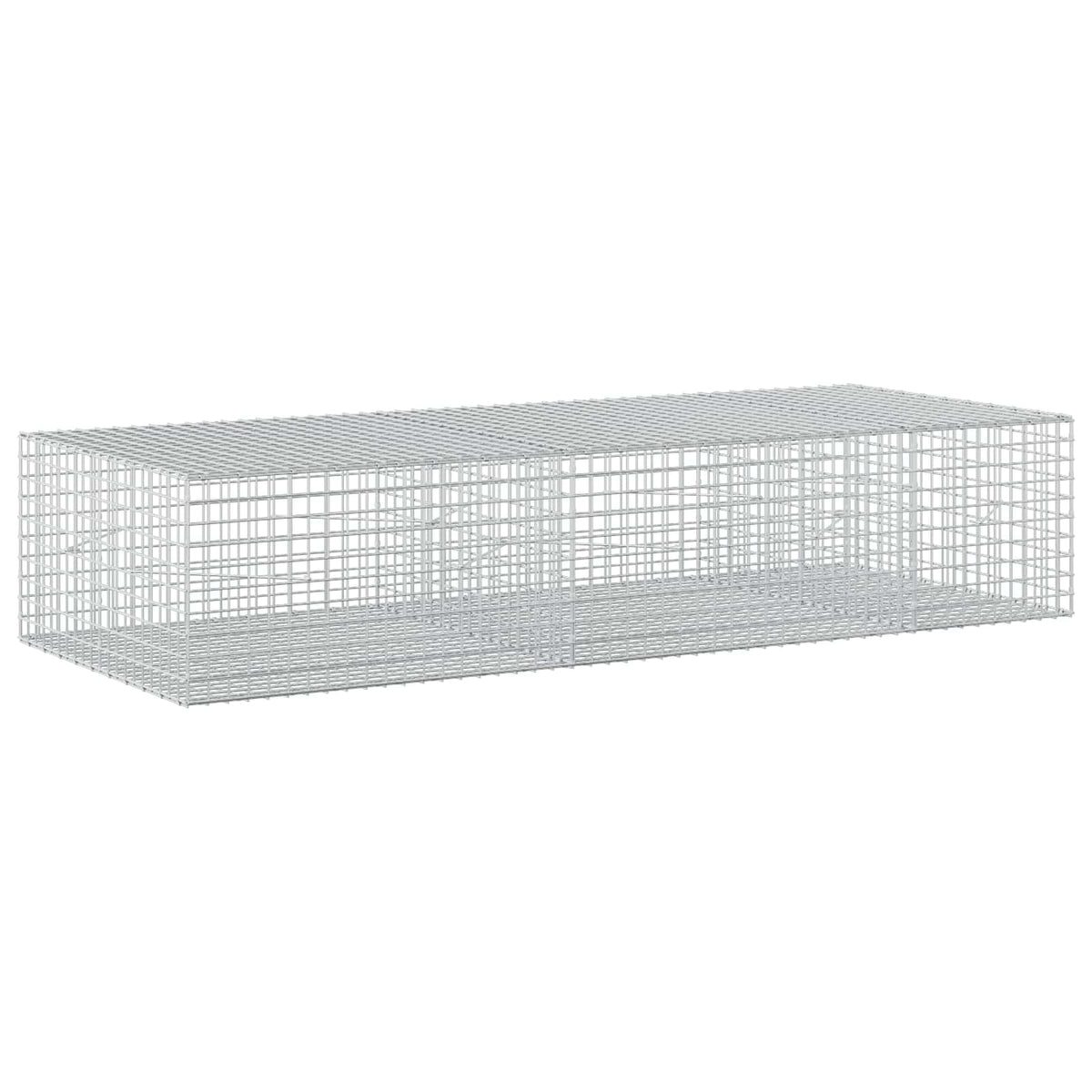 Gabion with 5 mm Wire and 5x5 cm Mesh 250x100x50 cm