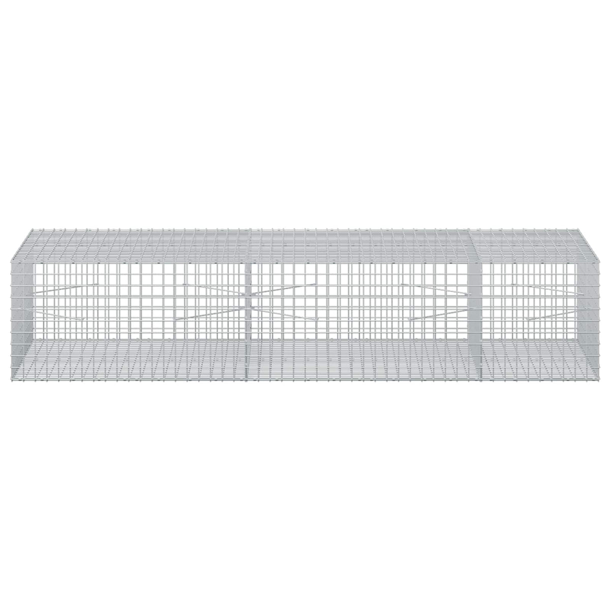 Gabion with 5 mm Wire and 5x5 cm Mesh 250x100x50 cm