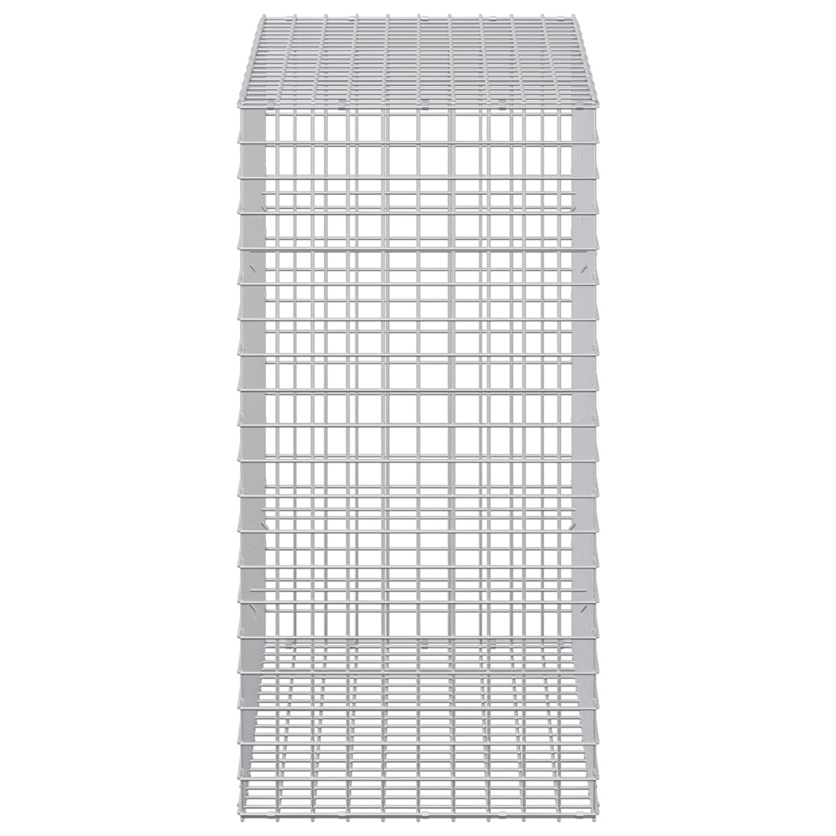 Gabion with 5 mm Wire and 5x5 cm Mesh 50x100x100 cm