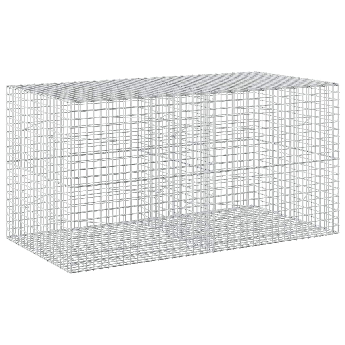 Gabion with 5 mm Wire and 5x5 cm Mesh 200x100x100 cm