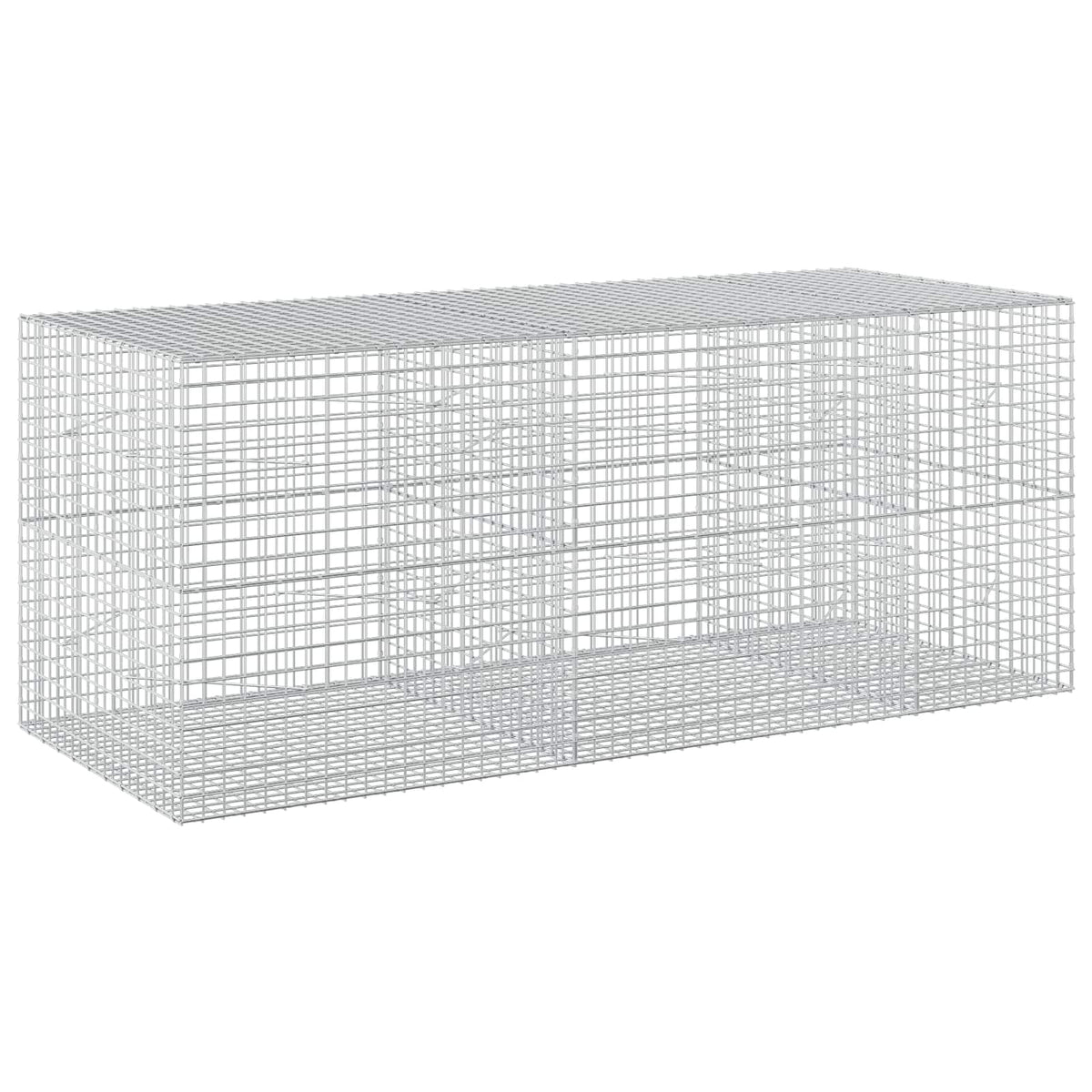 Gabion with 5 mm Wire and 5x5 cm Mesh 250x100x100 cm