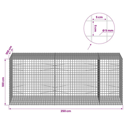 Gabion with 5 mm Wire and 5x5 cm Mesh 250x100x100 cm