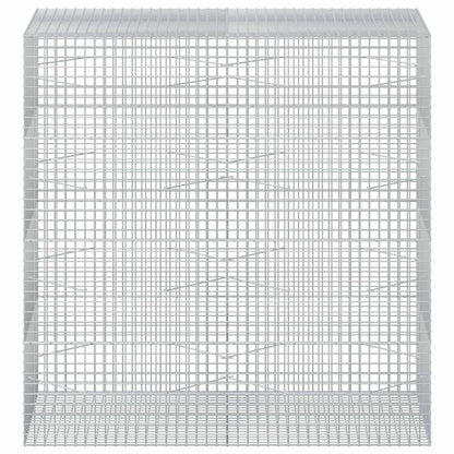 Gabion with 5 mm Wire and 5x5 cm Mesh 200x100x200 cm