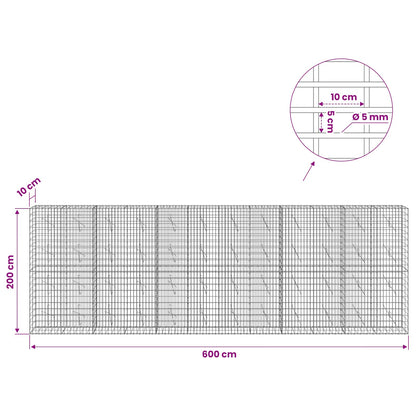 Gabion with 5 mm Wire and 5x10 cm Mesh 600x10x200 cm