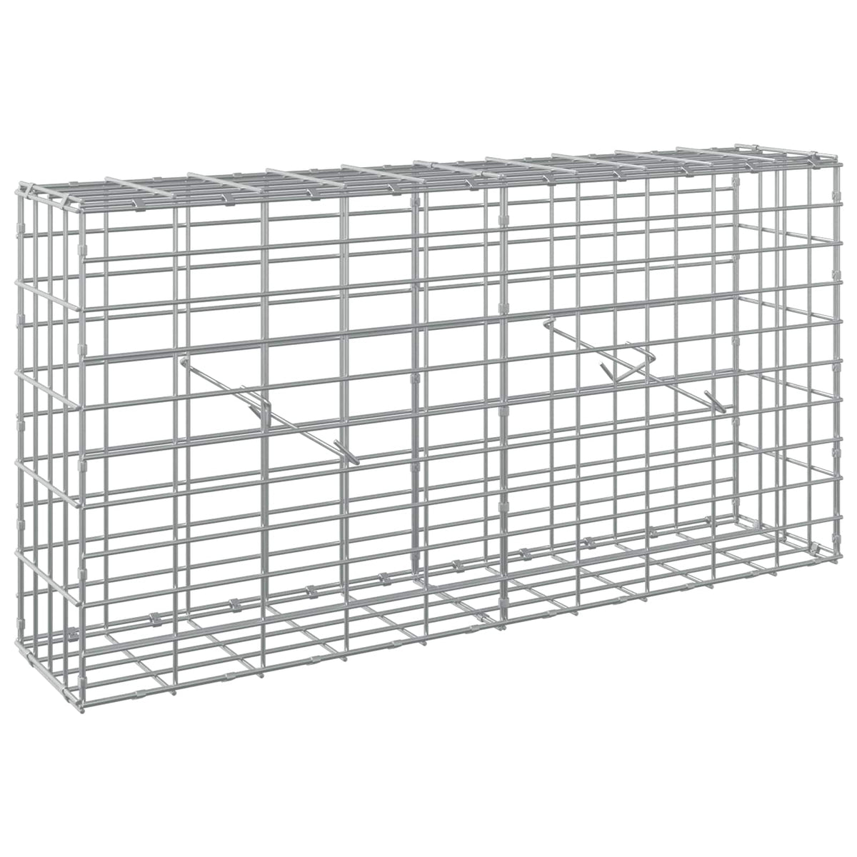 Gabion with 5 mm Wire and 5x10 cm Mesh 100x20x50 cm