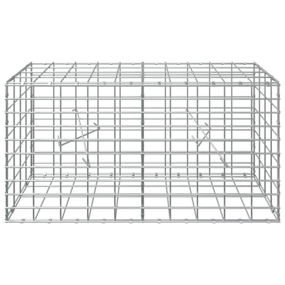 Gabion with 5 mm Wire and 5x10 cm Mesh 100x20x50 cm