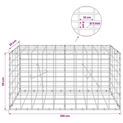 Gabion with 5 mm Wire and 5x10 cm Mesh 100x20x50 cm