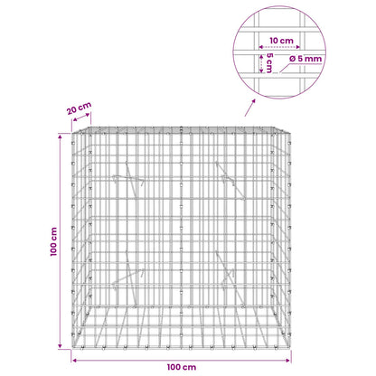 Gabion with 5 mm Wire and 5x10 cm Mesh 100x20x100 cm
