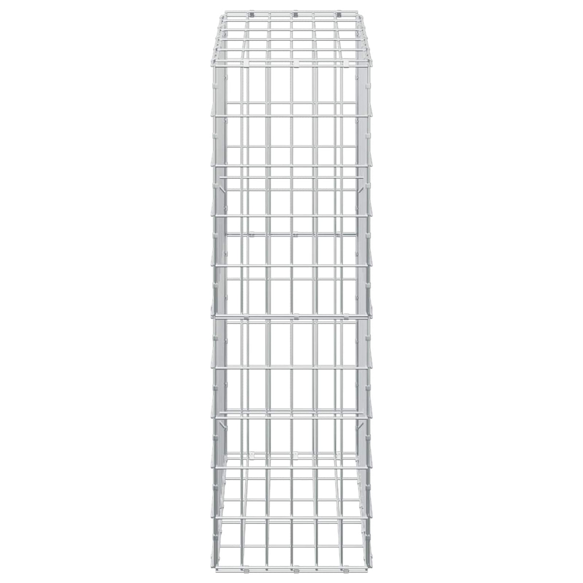 Gabion with 5 mm Wire and 5x10 cm Mesh 50x30x100 cm