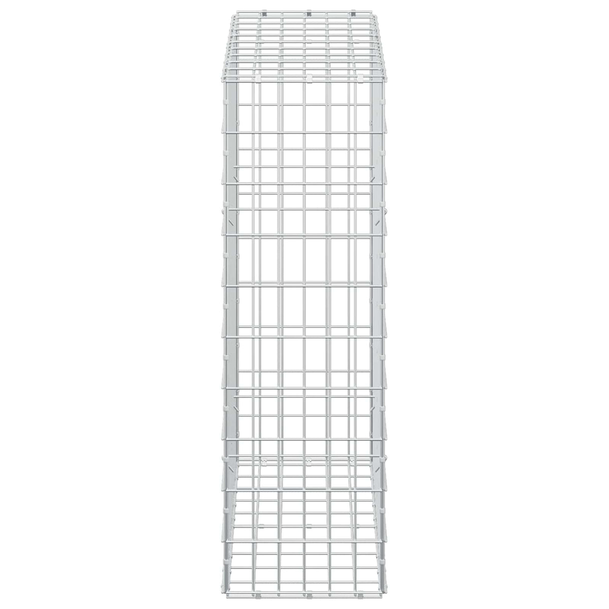 Gabion with 5 mm Wire and 5x10 cm Mesh 100x30x100 cm