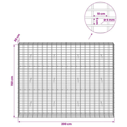 Gabion with 5 mm Wire and 5x10 cm Mesh 200x30x150 cm