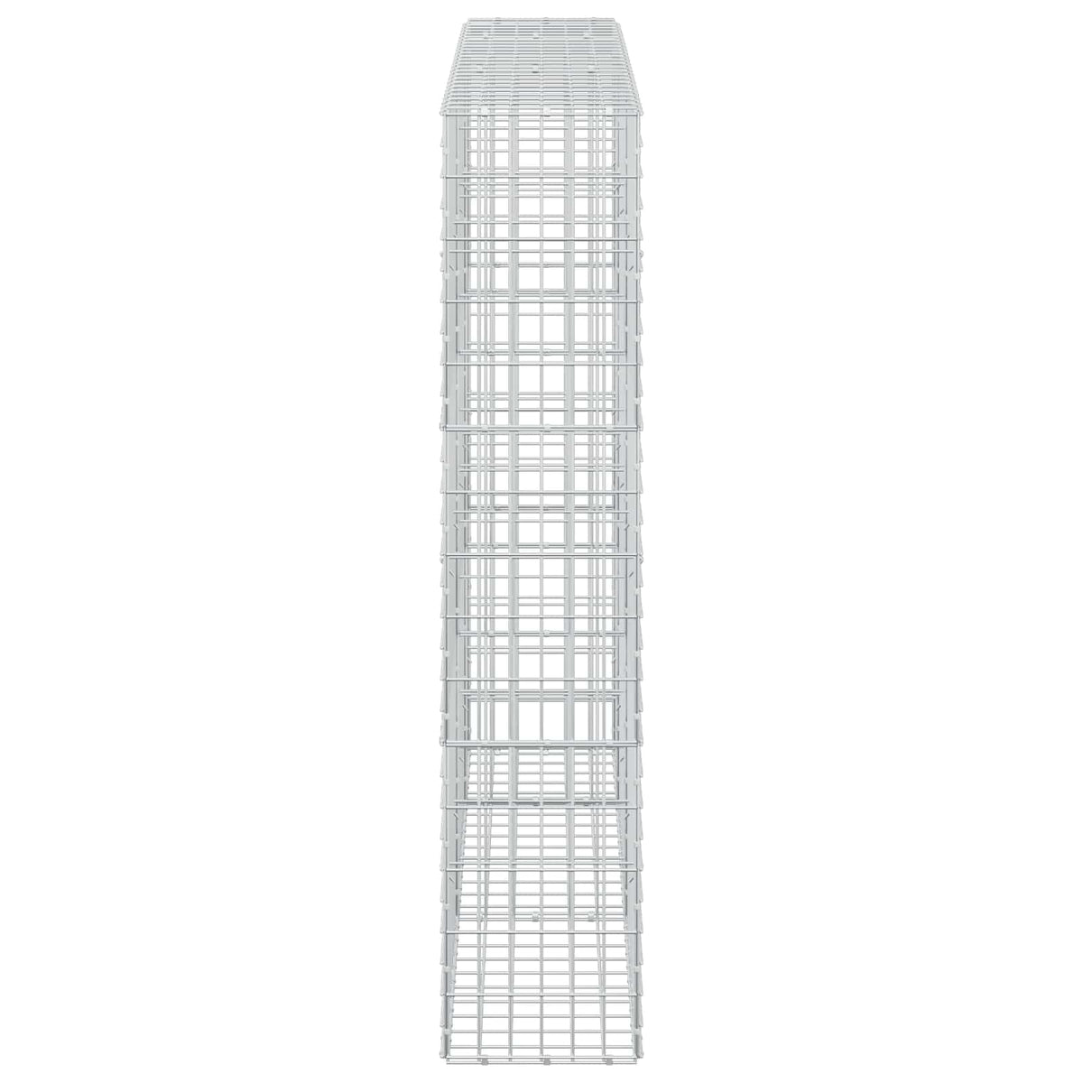 Gabion with 5 mm Wire and 5x10 cm Mesh 250x30x150 cm