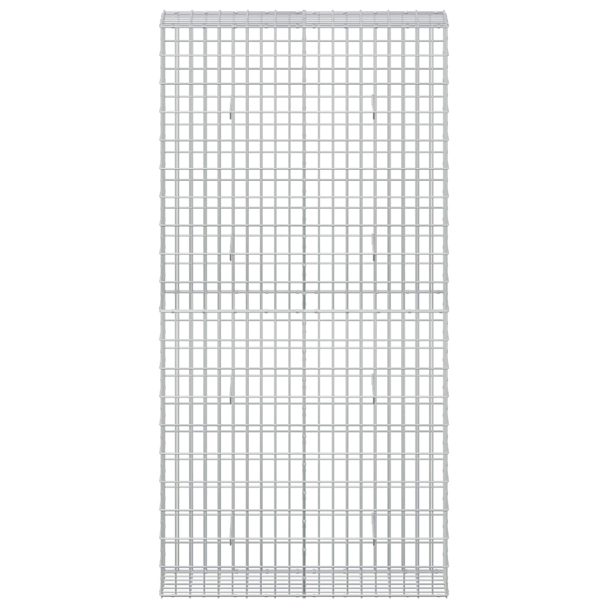 Gabion with 5 mm Wire and 5x10 cm Mesh 100x30x200 cm