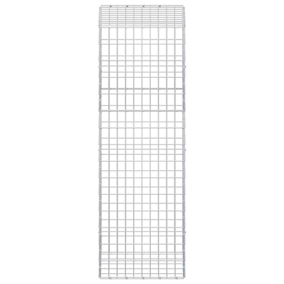Gabion with 5 mm Wire and 5x10 cm Mesh 50x50x150 cm