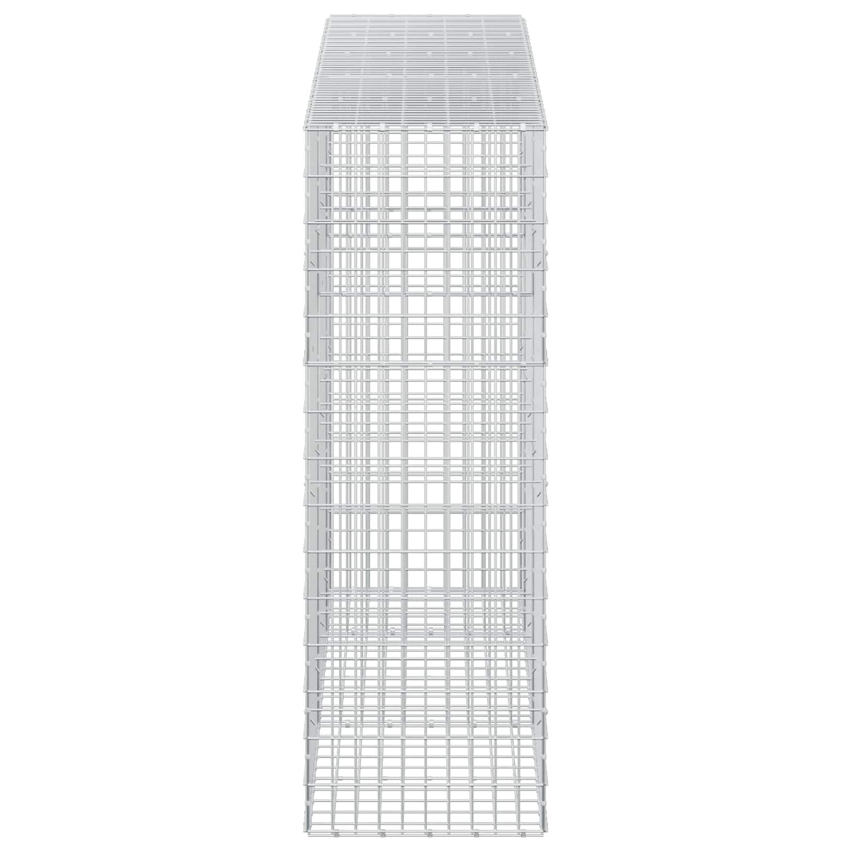 Gabion with 5 mm Wire and 5x10 cm Mesh 250x50x150 cm