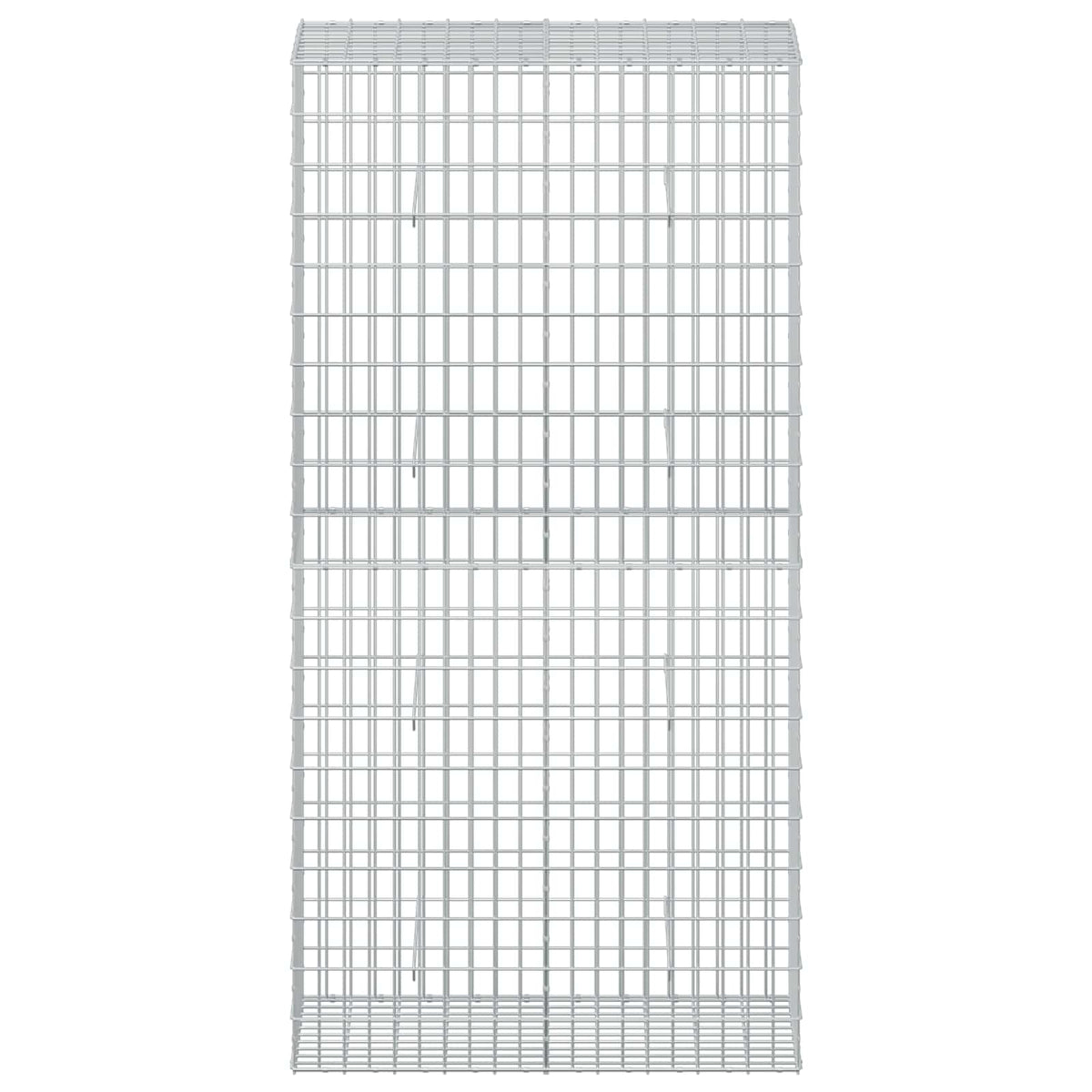 Gabion with 5 mm Wire and 5x10 cm Mesh 100x50x200 cm
