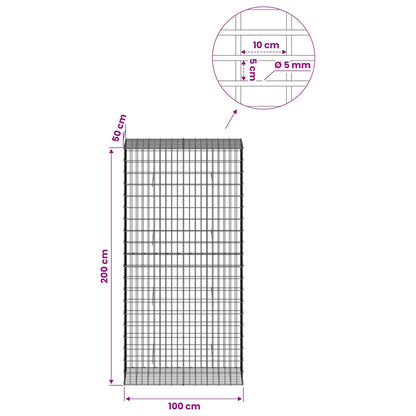 Gabion with 5 mm Wire and 5x10 cm Mesh 100x50x200 cm