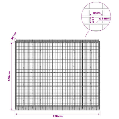 Gabion with 5 mm Wire and 5x10 cm Mesh 250x50x200 cm
