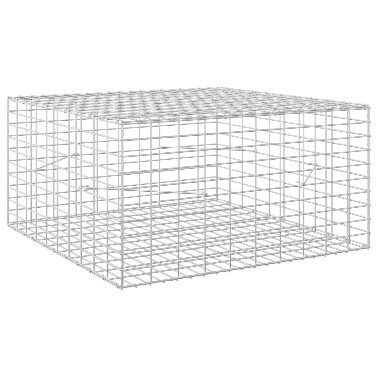 Gabion with 5 mm Wire and 5x10 cm Mesh 100x100x50 cm