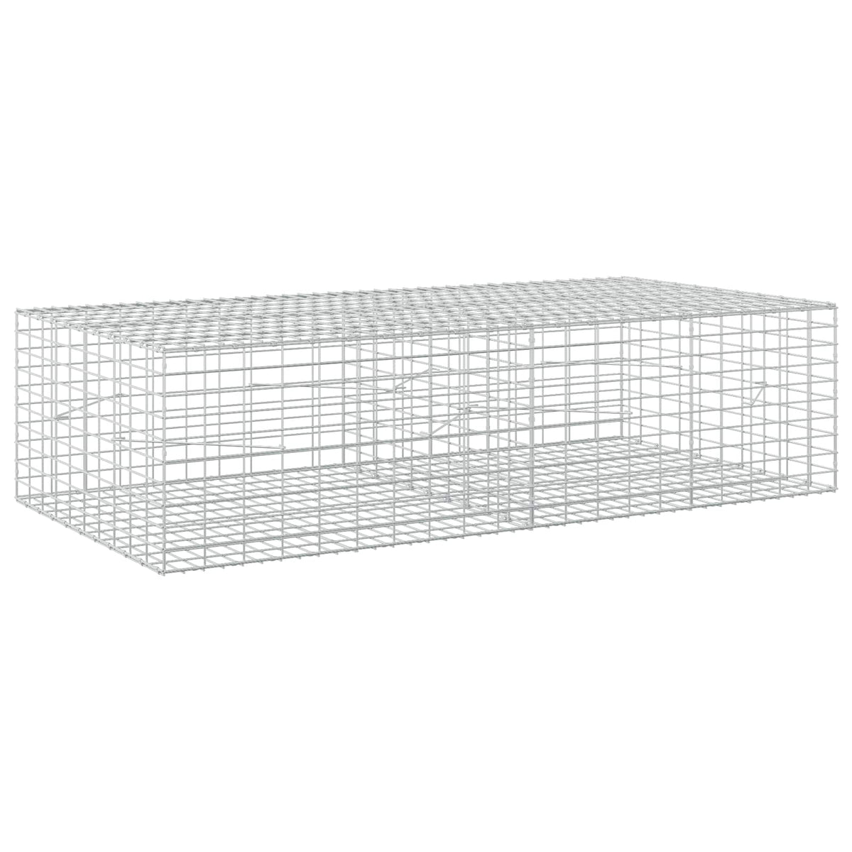 Gabion with 5 mm Wire and 5x10 cm Mesh 200x100x50 cm