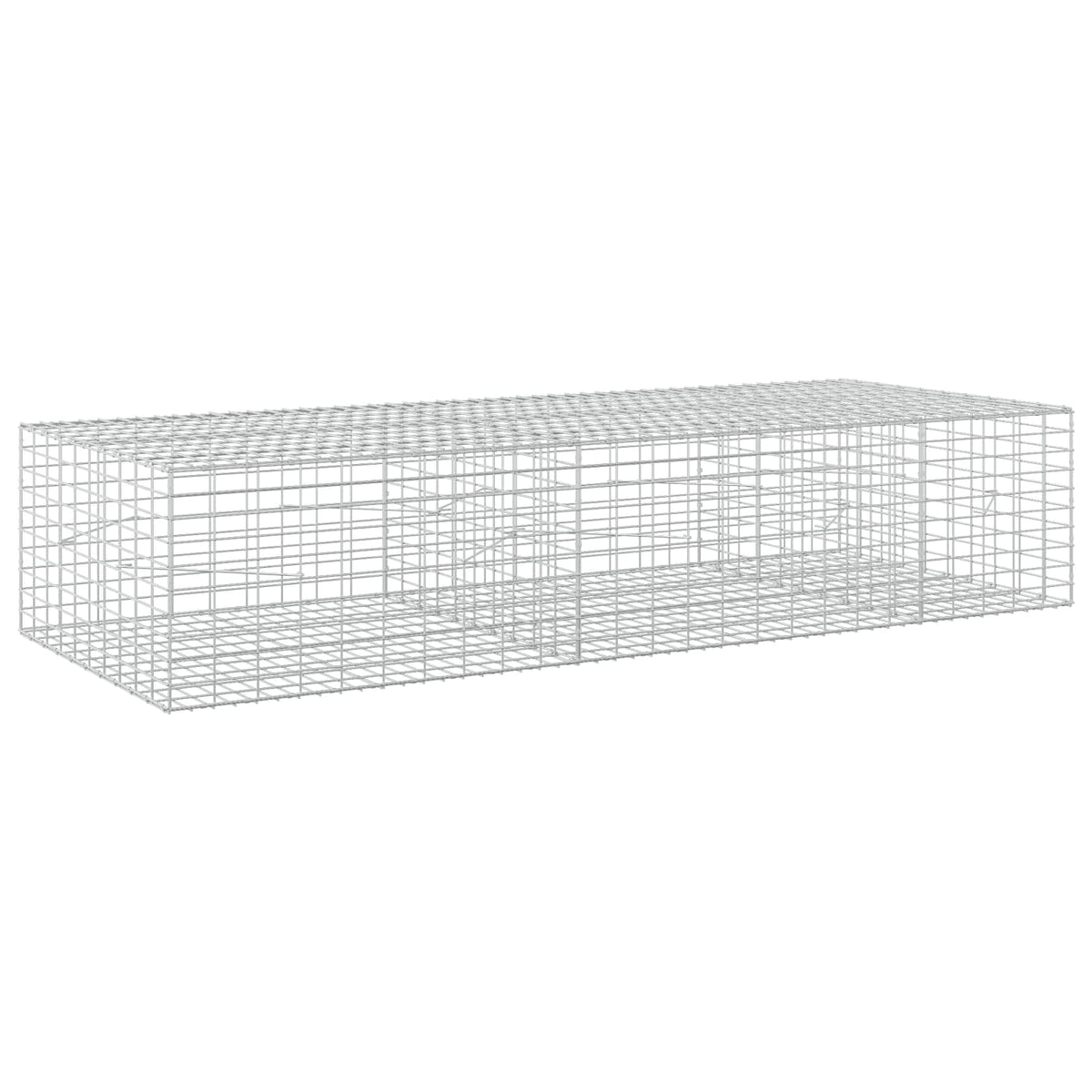 Gabion with 5 mm Wire and 5x10 cm Mesh 250x100x50 cm