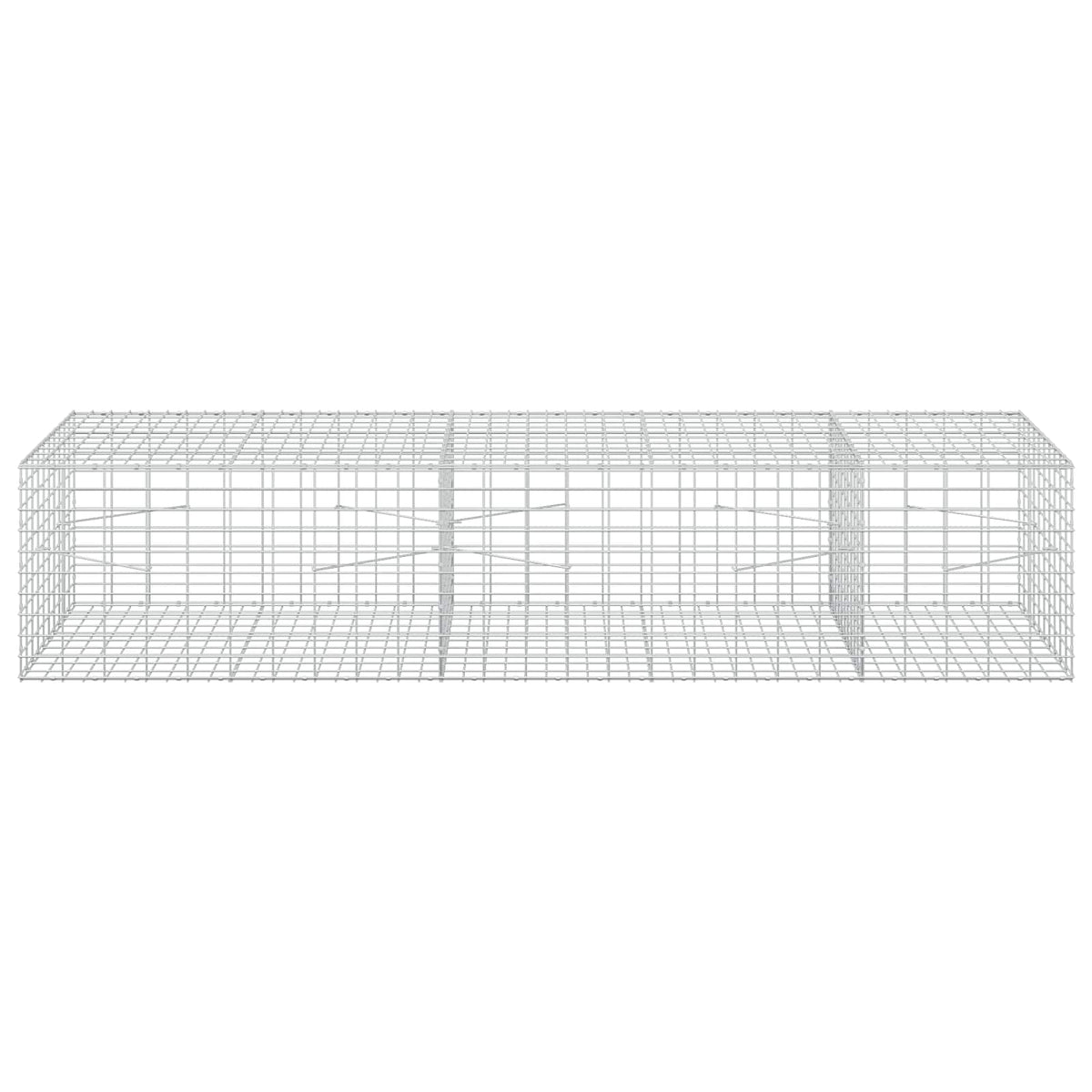 Gabion with 5 mm Wire and 5x10 cm Mesh 250x100x50 cm