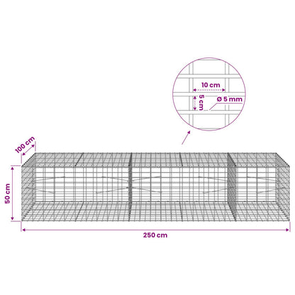 Gabion with 5 mm Wire and 5x10 cm Mesh 250x100x50 cm