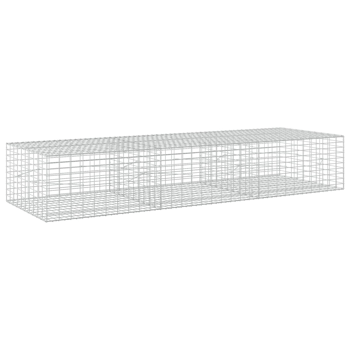 Gabion with 5 mm Wire and 5x10 cm Mesh 300x100x50 cm
