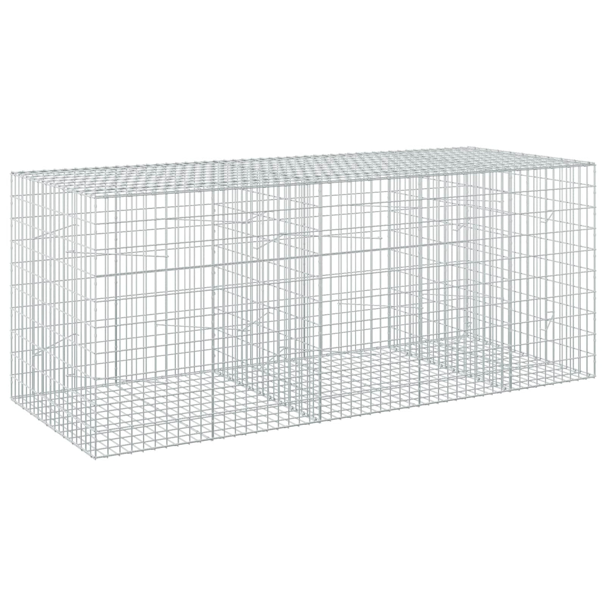 Gabion with 5 mm Wire and 5x10 cm Mesh 250x100x100 cm