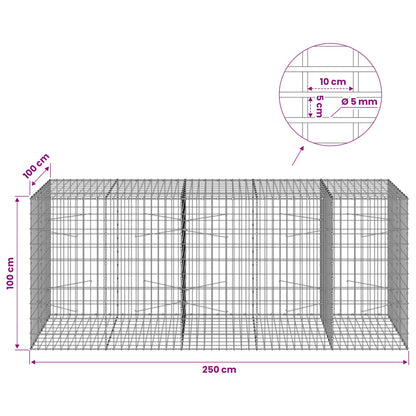 Gabion with 5 mm Wire and 5x10 cm Mesh 250x100x100 cm