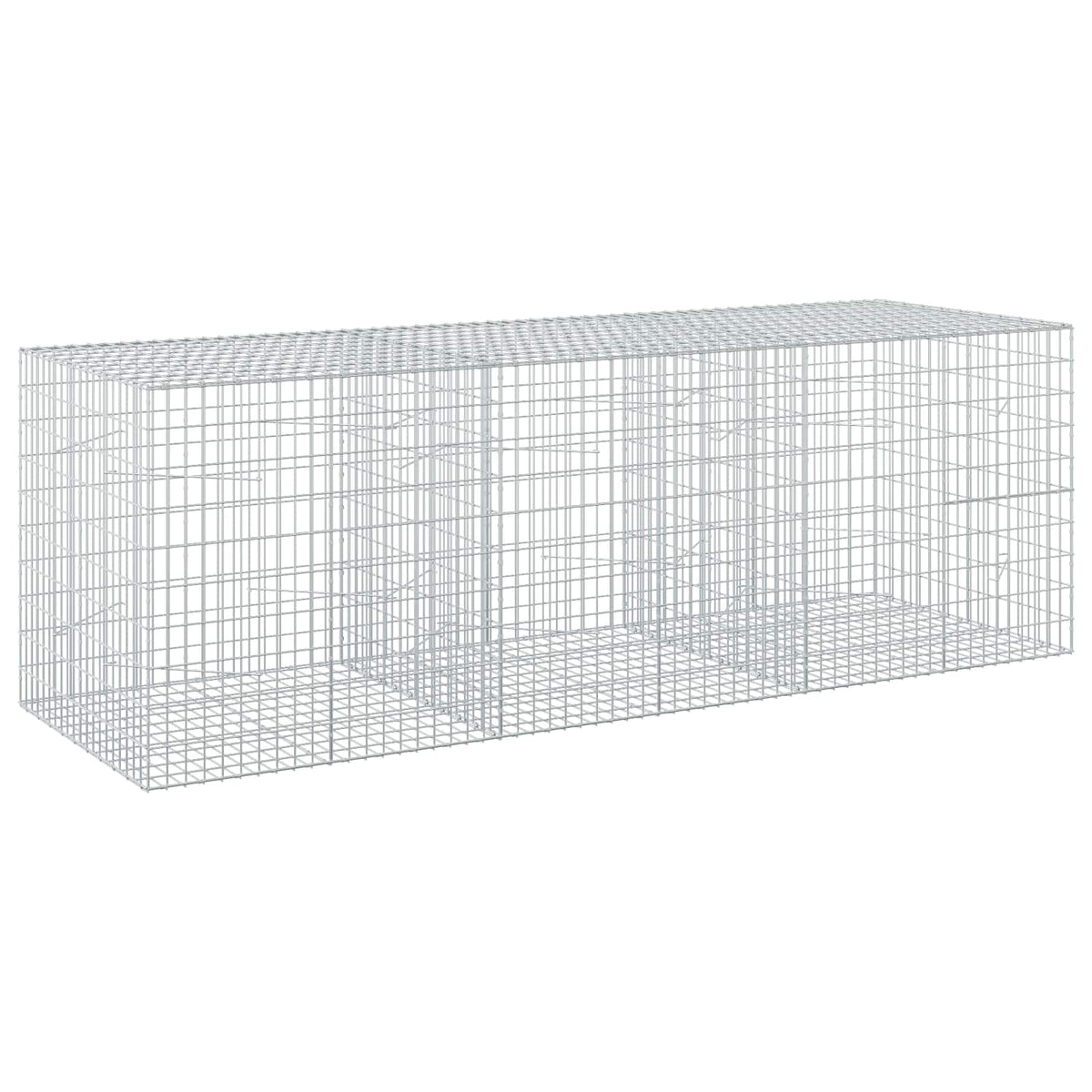 Gabion with 5 mm Wire and 5x10 cm Mesh 300x100x100 cm