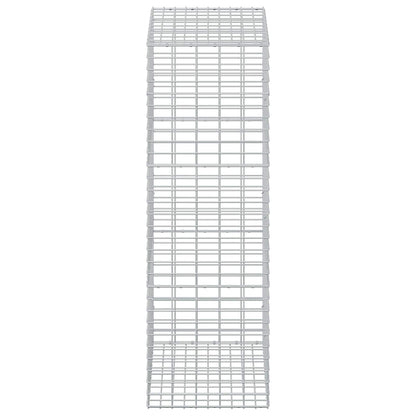 Gabion with 5 mm Wire and 5x10 cm Mesh 50x100x150 cm