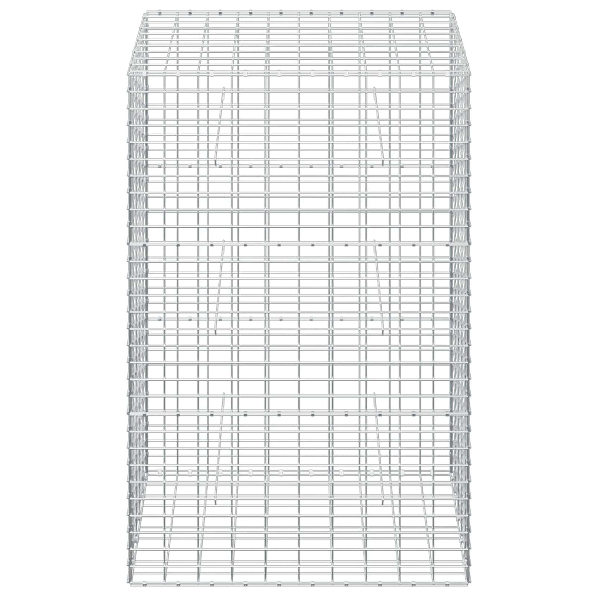 Gabion with 5 mm Wire and 5x10 cm Mesh 50x100x150 cm