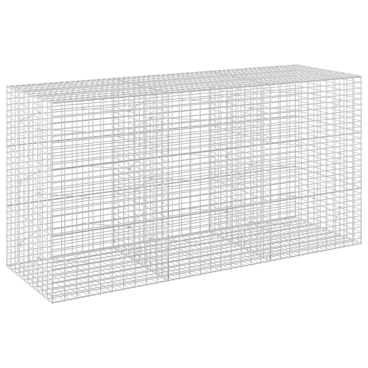 Gabion with 5 mm Wire and 5x10 cm Mesh 300x100x150 cm