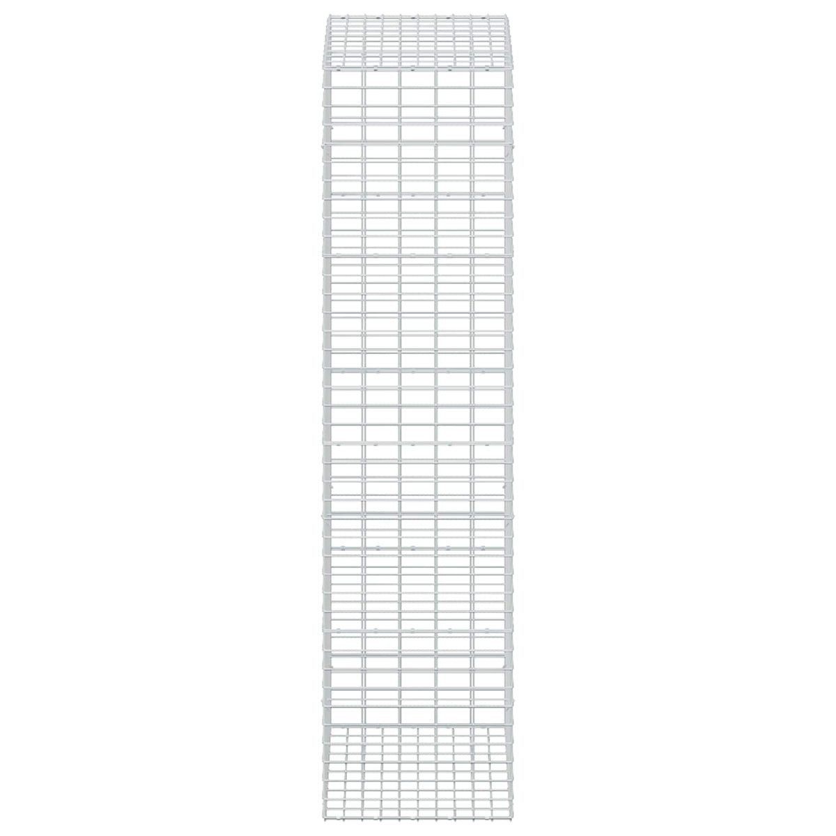 Gabion with 5 mm Wire and 5x10 cm Mesh 50x100x200 cm