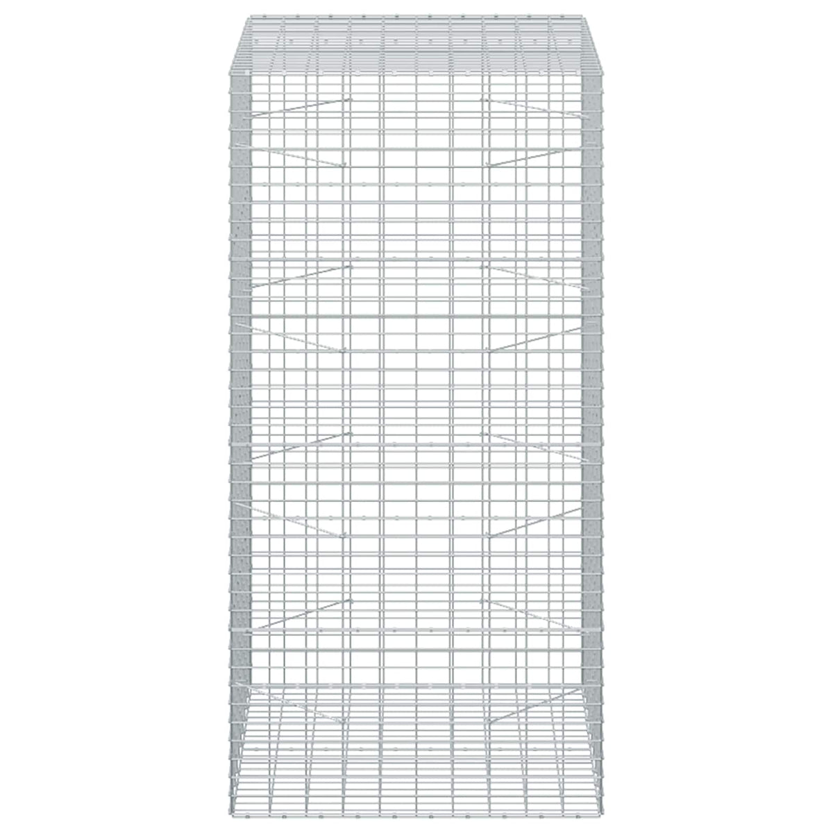 Gabion with 5 mm Wire and 5x10 cm Mesh 100x100x200 cm