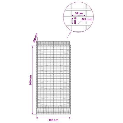 Gabion with 5 mm Wire and 5x10 cm Mesh 100x100x200 cm