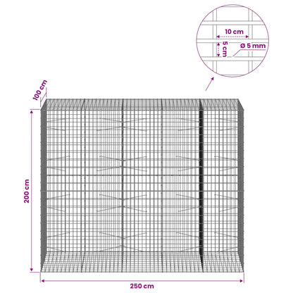 Gabion with 5 mm Wire and 5x10 cm Mesh 250x100x200 cm