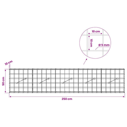 Gabion with 5 mm Wire and 10x10 cm Mesh 250x10x50 cm