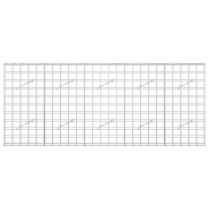 Gabion with 5 mm Wire and 10x10 cm Mesh 250x10x100 cm