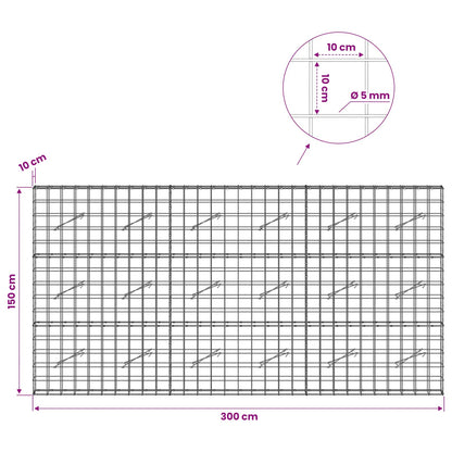 Gabion with 5 mm Wire and 10x10 cm Mesh 300x10x150 cm