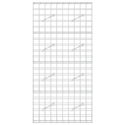 Gabion with 5 mm Wire and 10x10 cm Mesh 100x10x200 cm