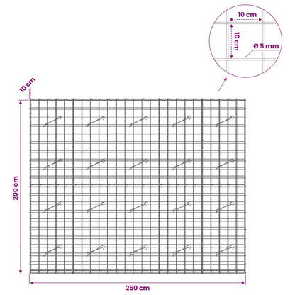 Gabion with 5 mm Wire and 10x10 cm Mesh 250x10x200 cm