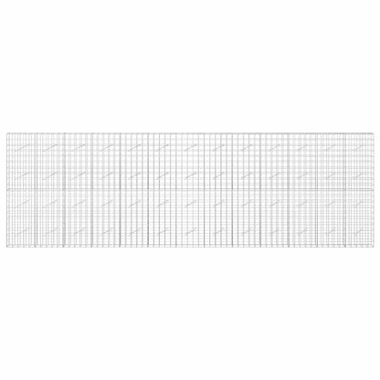 Gabion with 5 mm Wire and 10x10 cm Mesh 650x10x200 cm