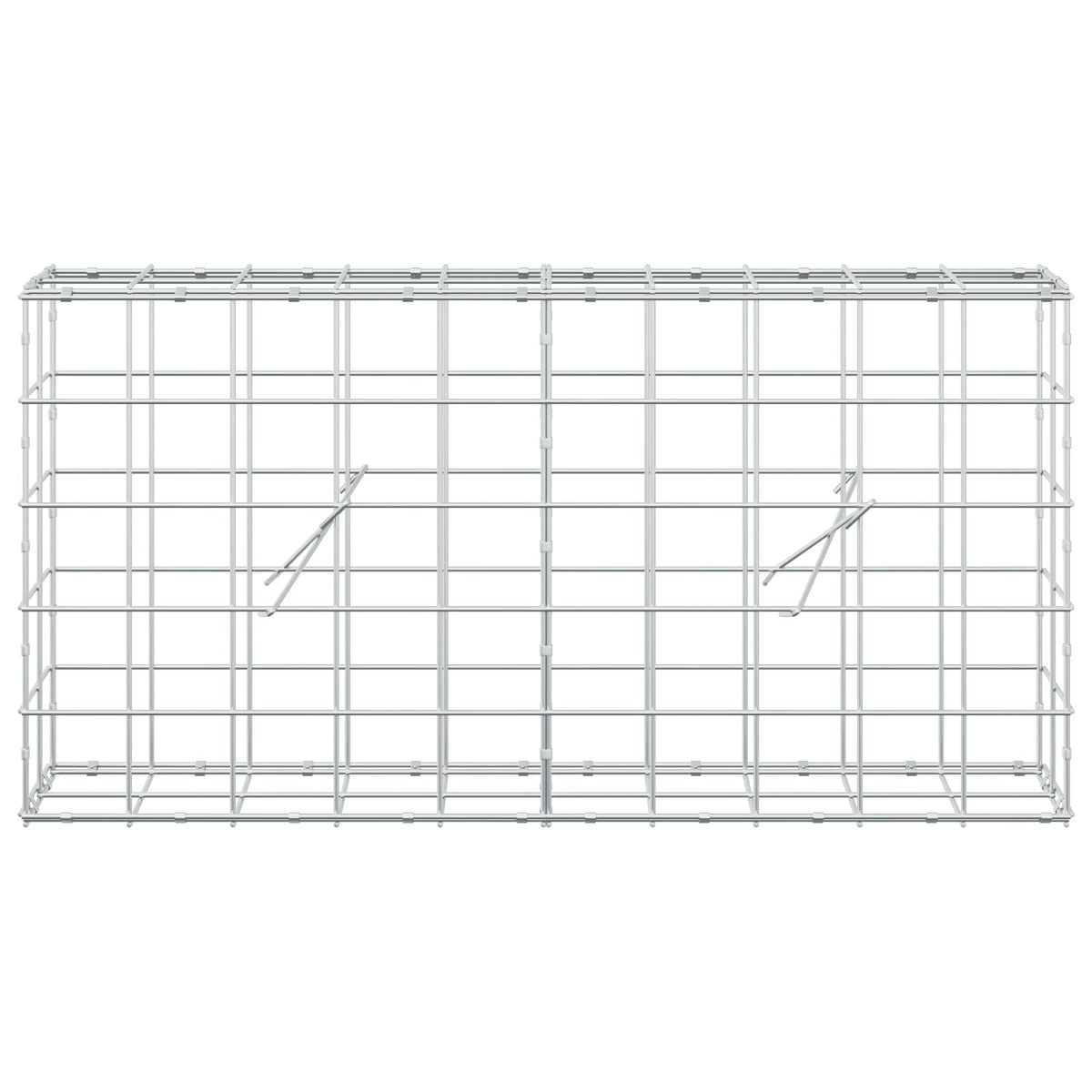 Gabion with 5 mm Wire and 10x10 cm Mesh 100x20x50 cm