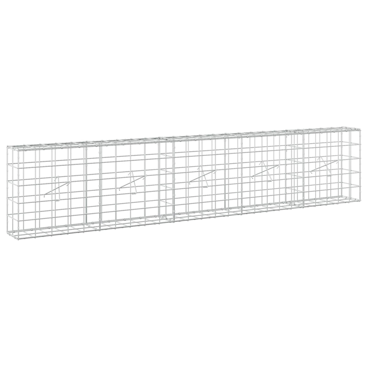 Gabion with 5 mm Wire and 10x10 cm Mesh 250x20x50 cm