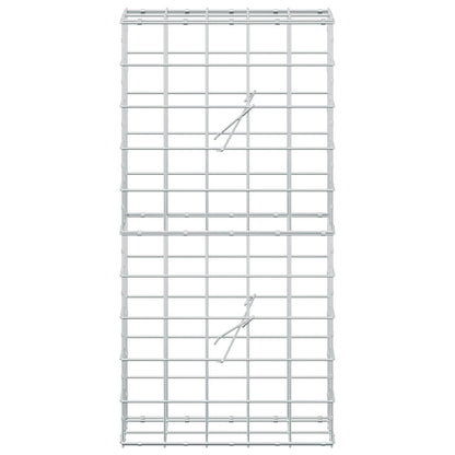 Gabion with 5 mm Wire and 10x10 cm Mesh 50x20x100 cm